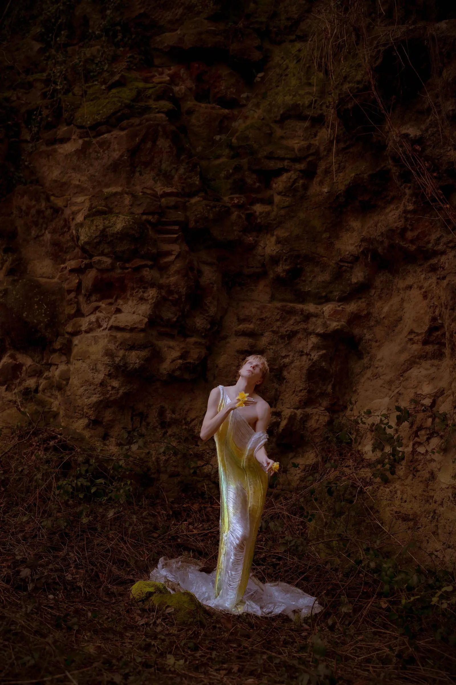 Bavo Buys - Wild Narcissus juist